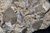 Topas in Rauchquarz Bergkristall Afghanistan
