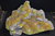 Zwavel met aragonietkristallen Messin / Miozän  Agrigento Sicilië