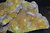 Zwavel met aragonietkristallen Messin / Miozän  Agrigento Sicilië
