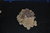 Grot Calcietkristal met Sideriet Chalcopyrite Cavnik Roemenië