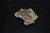 Grot Calcietkristal met Sideriet Chalcopyrite Cavnik Roemenië