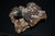 vivianiet vivianite kristal op sideriet  Cavnik Romania