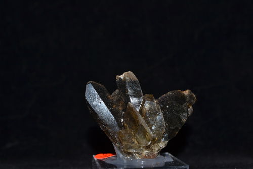 Gypsum crystals Bleicherode  Thuringia Germany