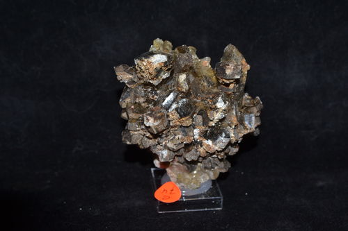 Gypsum crystals Bleicherode  Thuringia Germany