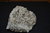 Sphalerite Pyrite Quartz Chalcopyrite Cavnik Romania