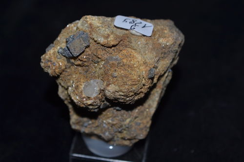 Galenit Quarz Pyrit Siderit  Wiemannsbucht  Harz