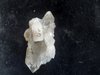 Quarz Bergkristall   Kristall Brasilien